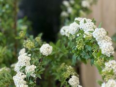 -艾蜜西餐厅(梅园店)