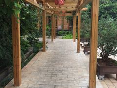 -山大王菌莊