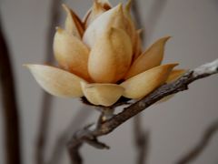 -听雨小筑茶舍(观音桥·龙湖新壹街店)