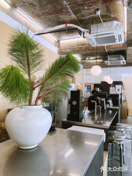 麻雀咖啡SPARROW COFFEE(十全街店)图片