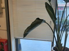 -StorHub 趣存自助仓·迷你仓(虹桥店)