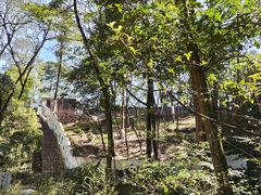 -中国大熊猫保护研究中心雅安碧峰峡基地