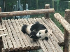 -大连森林动物园