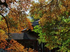 -颐和园