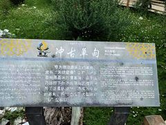 -稻城亚丁景区-冲古草甸