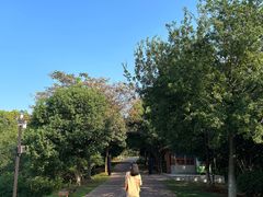 -盘龙城国家考古遗址公园