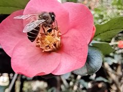 -两河城市森林公园