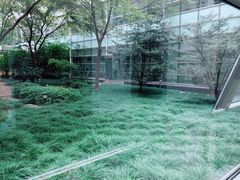 -上海中医药大学附属曙光医院(东部)
