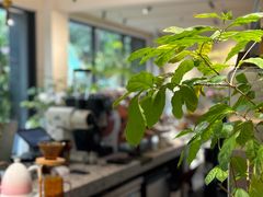 -花神·轻食简餐·咖啡馆·花卉绿植(荷兰花卉小镇店)
