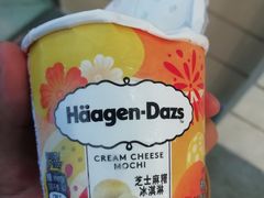 -哈根达斯(抚顺万达店)