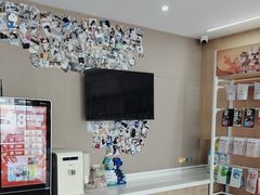 -艾贝尔宠物医院·24H转诊中心·肿瘤猫专科(江宁双龙店)