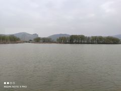 -长兴太湖图影湿地文化园