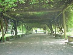 -南京农业大学(浦口校区)
