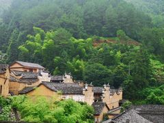 -杨家堂村