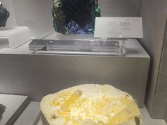 -湖南省地质博物馆