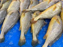 -兴龙广缘超市(奥体中心店)