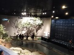-北京周口店北京人遗址博物馆