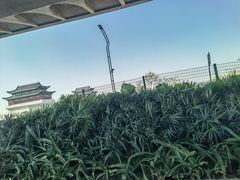-横琴客运码头