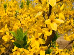 -永定河休闲森林公园