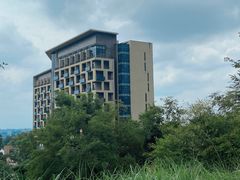 -成都蒲江花样年福朋喜来登度假酒店·宜客乐西餐厅