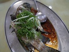 清蒸老虎斑-辉记虾塘海鲜农庄