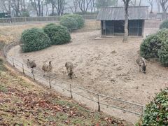 -无锡动物园·太湖欢乐园