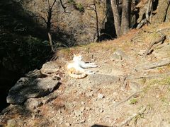 -黄山白云宾馆
