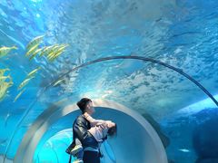 -泉城欧乐堡海洋极地世界