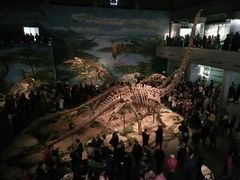 -自贡恐龙博物馆