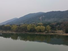 -长广溪湿地公园