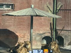 -新疆天山野生动物园