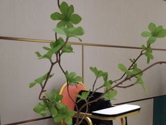 -国惠大酒楼(宝龙店)