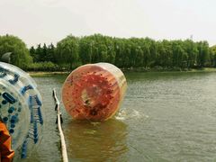 -昆山城市生态森林公园