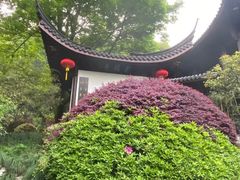 -十八棵（老龙井）御茶园(老龙井店)