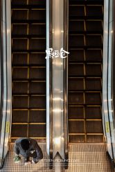 点击看大图 -Chic Bridal 熙可婚纱