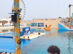 -秦皇岛乐岛海洋王国