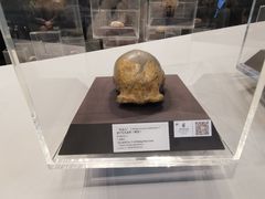 -周口店北京人遗址公园