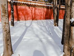 -北陵公园