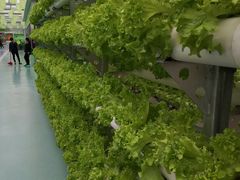 -兰陵国家农业公园