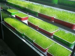 -番食园鲜食火锅(高新店)