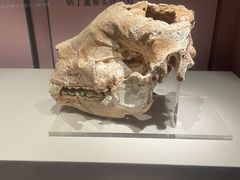 -咸宁市博物馆