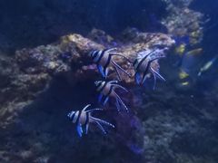 -石林冰雪海洋世界