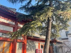 -荷唐·殿 Home Town Palace