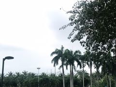 -万绿园