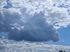 -五营红松林海景区