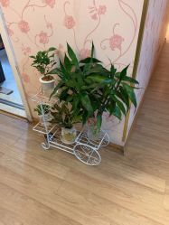 -本真坊美容美体沙龙