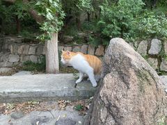 -北京凤凰岭