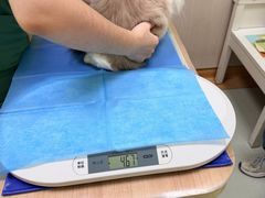 -瑞鹏宠物医院·宠保定点·心脏科·内科(御桥分院)