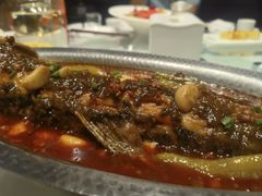 -凯鸽酒楼(大同振兴街店)