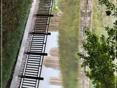 -重庆彩云湖湿地公园